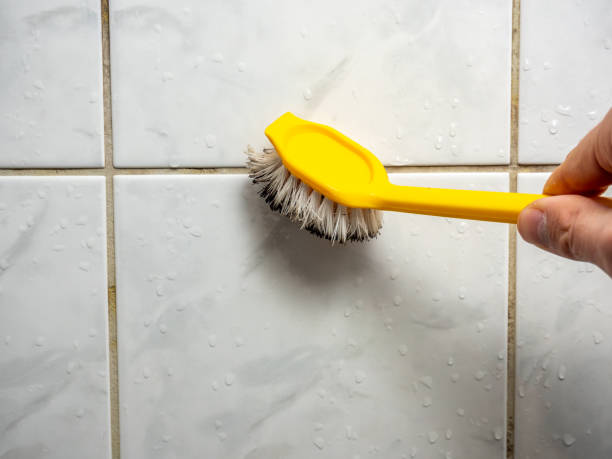Best Health and Safety Mold Remediation in North Lewisburg, OH